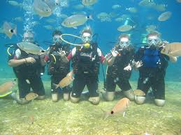 Ölüdeniz Tüplü Dalış 7 Ölüdeniz Tüplü Dalış